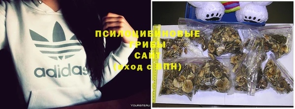 мяу мяу мука Бугульма