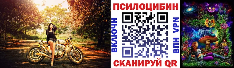 Купить где Кондопога Псилоцибиновые грибы Cubensis